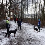 City Trail DSC02906 Scaled