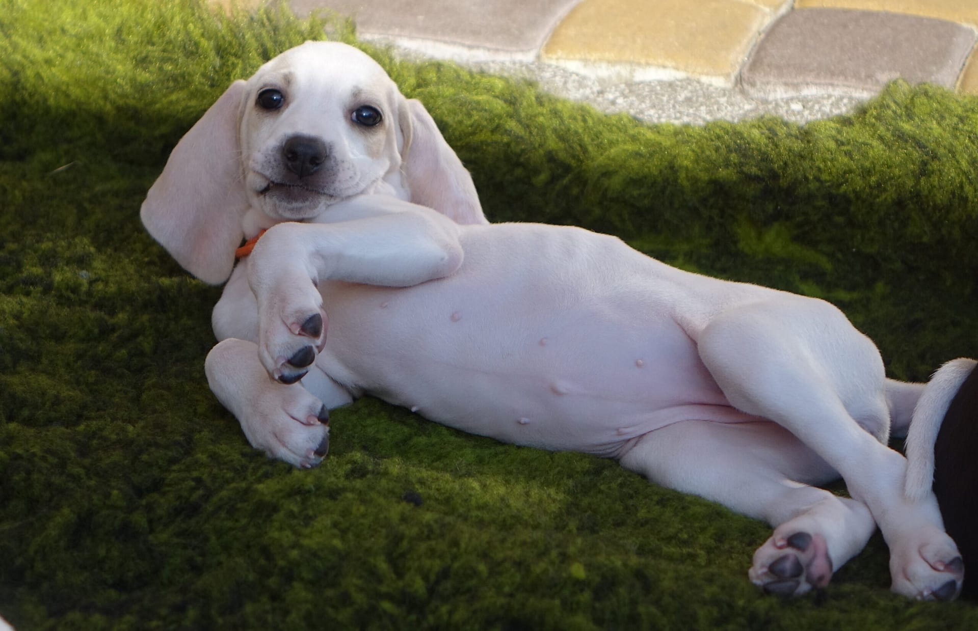 Crafting Captivating Headlines: Your awesome post title goes here Crafting Captivating Headlines: Your awesome post title goes here