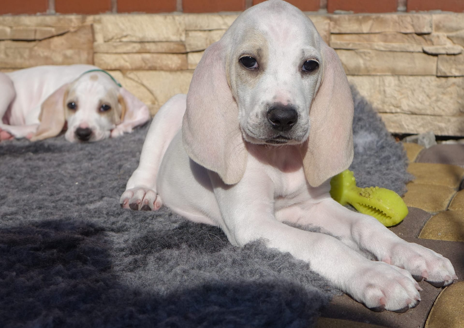 The Art of Drawing Readers In: Your attractive post title goes here The Art of Drawing Readers In: Your attractive post title goes here