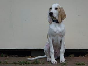 portfolio-02 Cekin z Garbu Księżej Góry