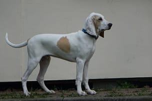 portfolio-05 Cekin z Garbu Księżej Góry