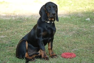 portfolio-01 Smuga z Garbu Księżej Góry