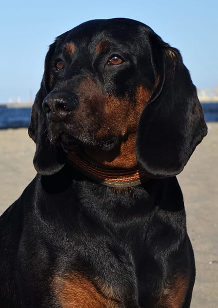 DSC08280.jpgMI_crop0 DSC08280.jpgMI_crop0