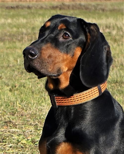 DSC03063.jpgH DSC03063.jpgH