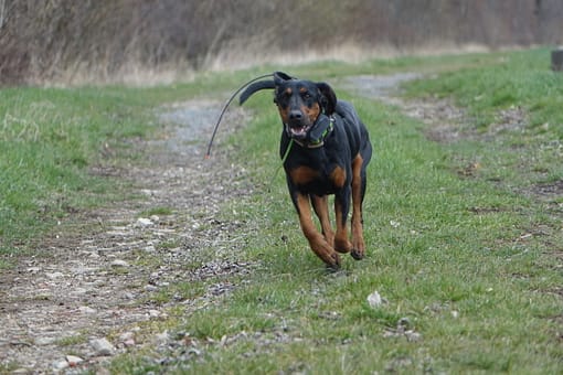 creative-approach-img DSC05347 1 Scaled