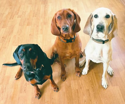 about-img 278425136 1028772764378946 2507335713135763000 N