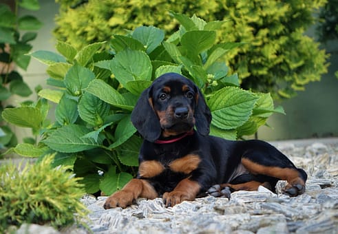 core-values ZGarbuKsiezejGory 7 Scaled