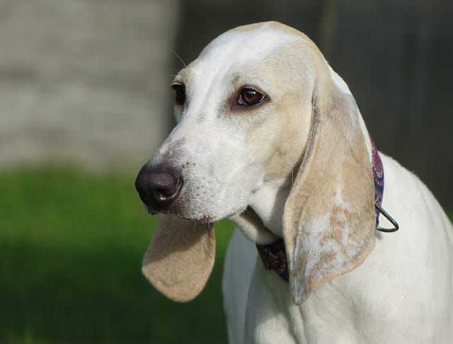 stats-img 403401552 687816646447939 8605305218028404027 N Scaled