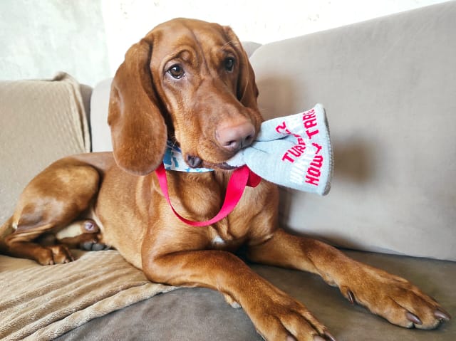 why-choose-us IMG 20220214 110025 Scaled