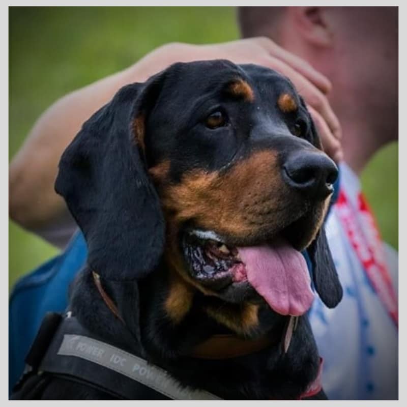 2020 Projekt Bez Tytułu 1